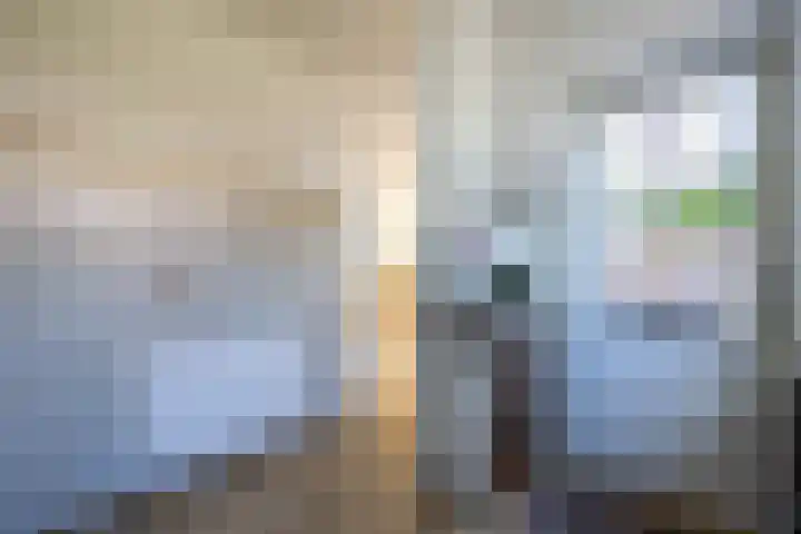 Middeloolaan 15 Driehuis NH thumbnail 13