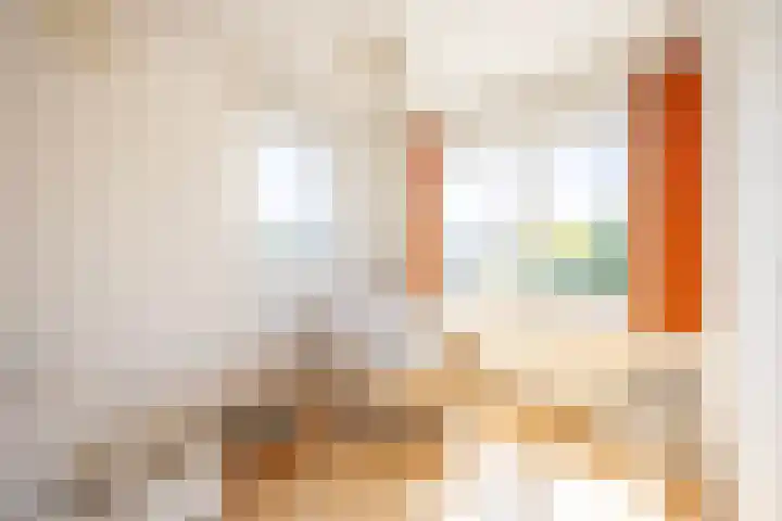 Middeloolaan 15 Driehuis NH thumbnail 18
