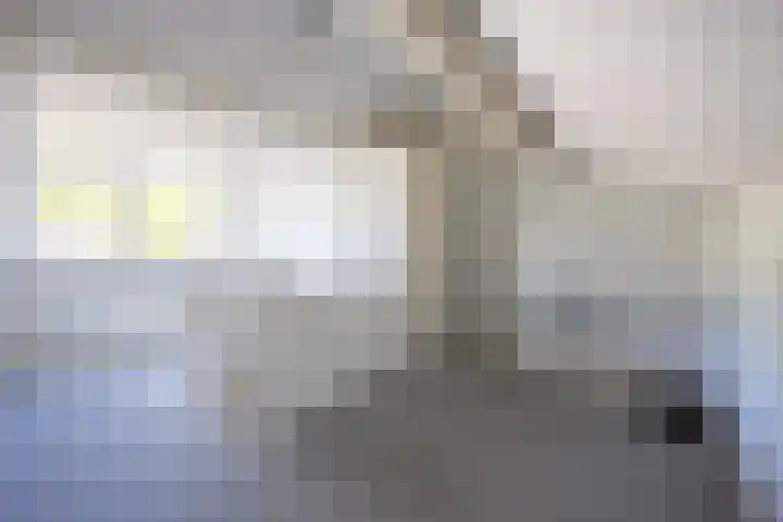 Middeloolaan 15 Driehuis NH thumbnail 28