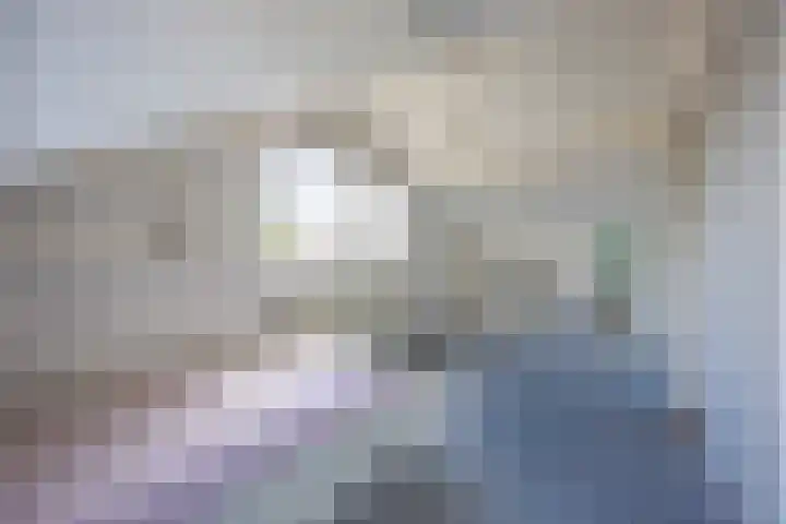 Middeloolaan 15 Driehuis NH thumbnail 33
