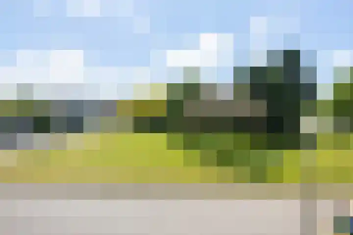 Middeloolaan 15 Driehuis NH thumbnail 39