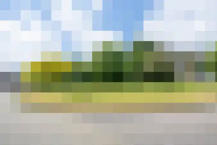 Middeloolaan 15 Driehuis NH thumbnail 40