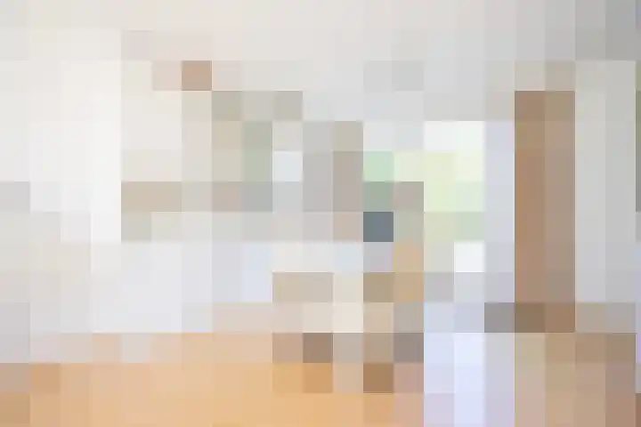 Middeloolaan 15 Driehuis NH thumbnail 8
