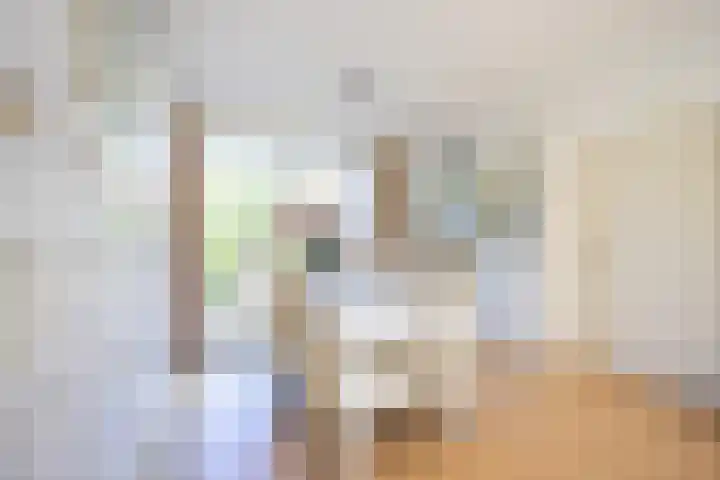Middeloolaan 15 Driehuis NH thumbnail 9
