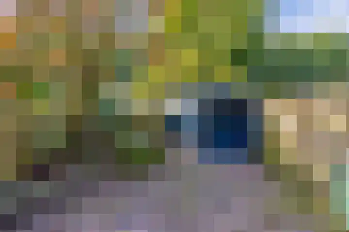 Middelplaat 56 Emmeloord thumbnail 29