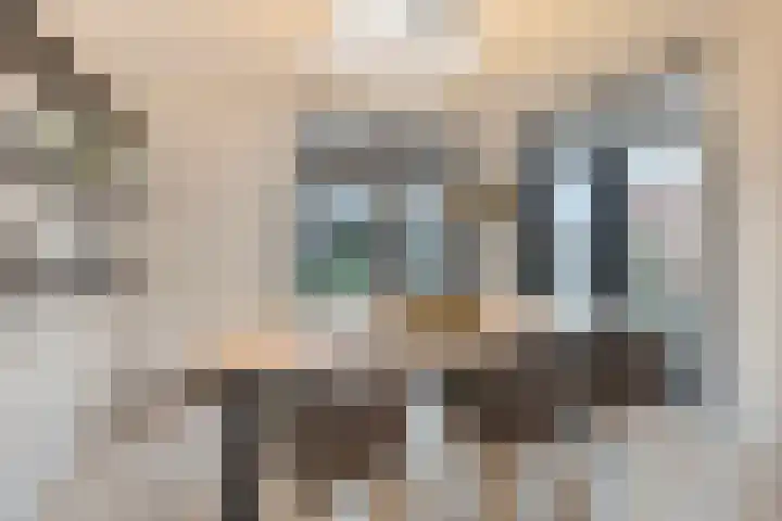 Middelplaten 25 Hoofddorp thumbnail 10