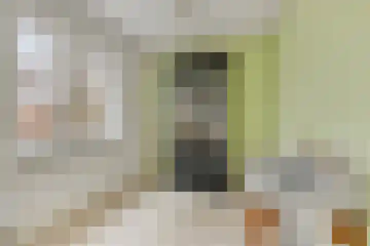 Middelplaten 25 Hoofddorp thumbnail 24
