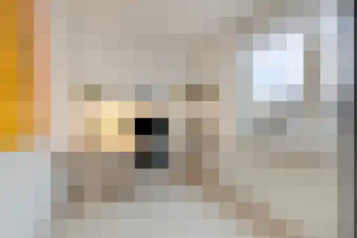 Middelplaten 25 Hoofddorp thumbnail 26