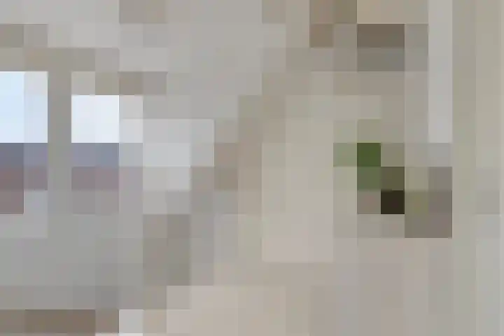 Middelplaten 25 Hoofddorp thumbnail 32
