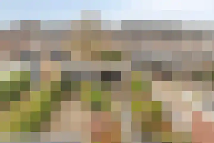 Middelplaten 25 Hoofddorp thumbnail 35