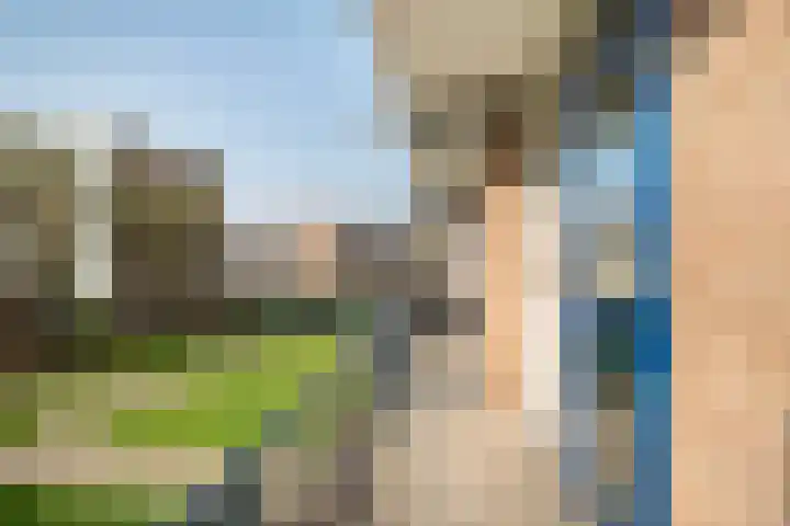 Middelrode 191 Rotterdam thumbnail 22