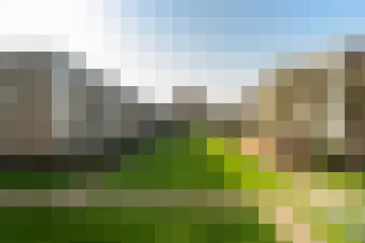 Middelrode 191 Rotterdam thumbnail 23