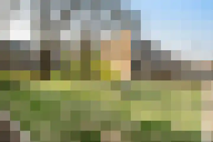 Middelrode 191 Rotterdam thumbnail 5