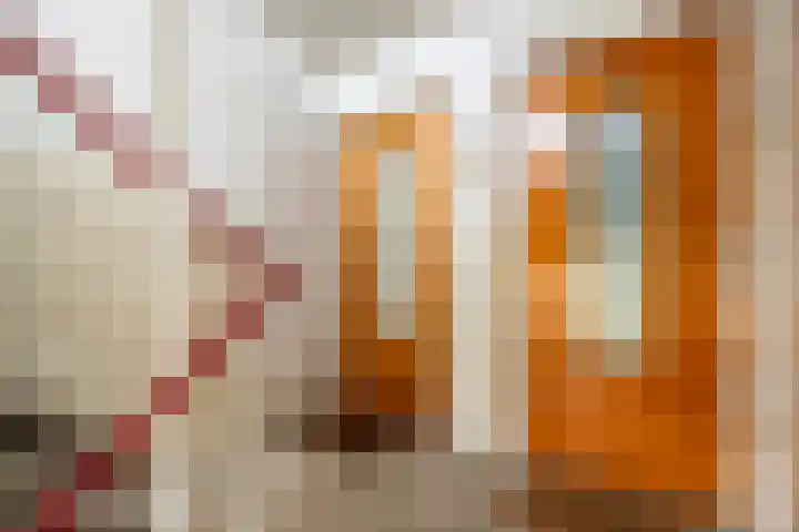 Middelrode 191 Rotterdam thumbnail 9