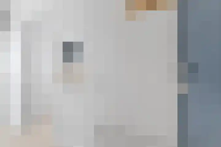 Middelrode 83 Rotterdam foto 3