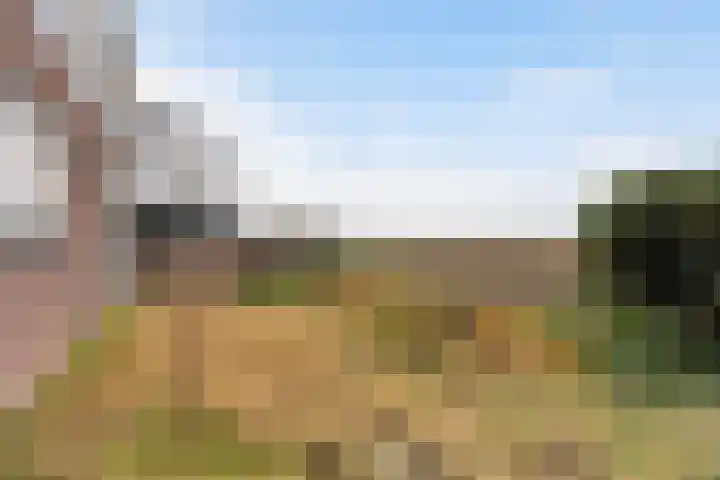 Middelsluissedijk OZ 64 Numansdorp thumbnail 28