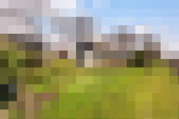 Middelsluissedijk OZ 64 Numansdorp thumbnail 32