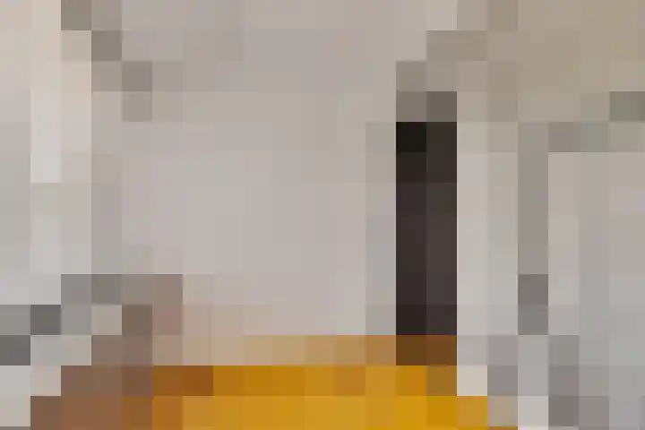 Middelsluissedijk WZ 2 Numansdorp thumbnail 17