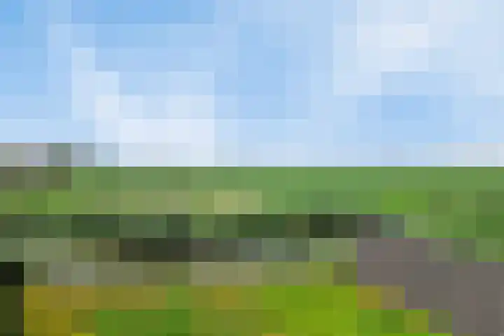Middelsluissedijk WZ 2 Numansdorp thumbnail 33