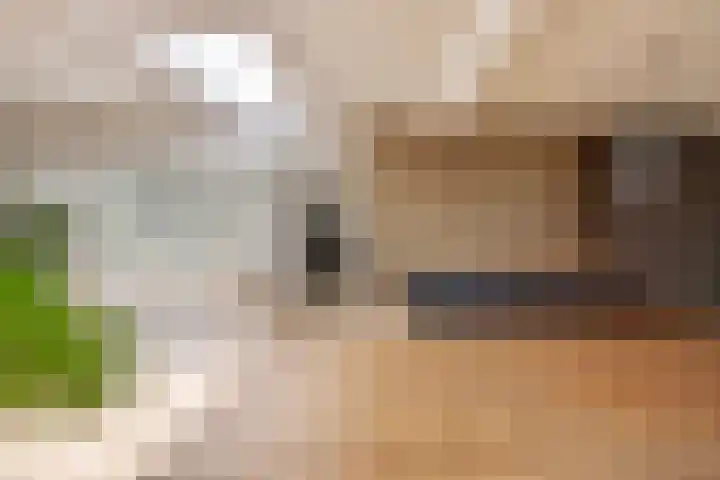 Middelsluissedijk WZ 2 Numansdorp thumbnail 4