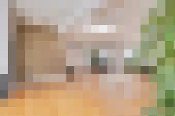 Middelsluissedijk WZ 2 Numansdorp thumbnail 5