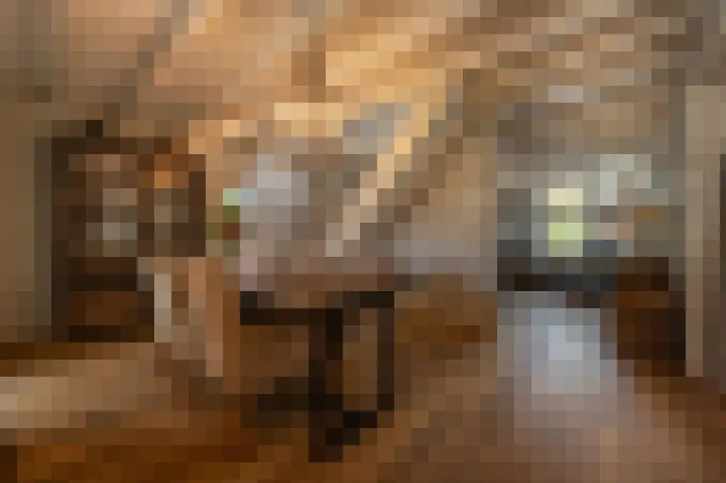 Middelsluissedijk WZ 53 Numansdorp thumbnail 11