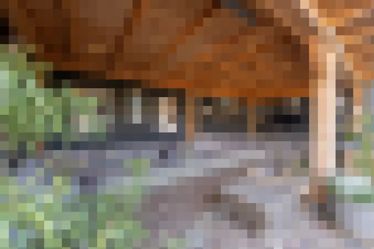 Middelsluissedijk WZ 53 Numansdorp thumbnail 30