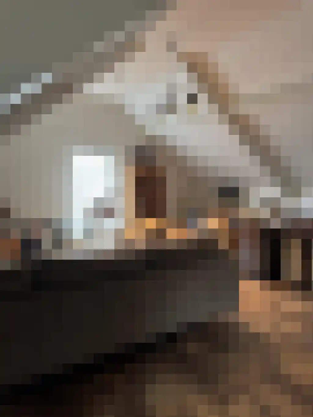 Middelstraat De Moer