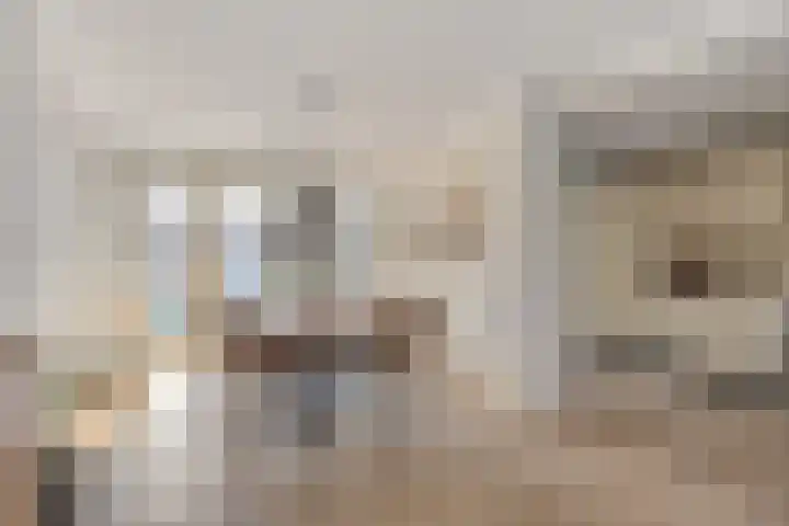 Middelveld 23 Zeeland thumbnail 12