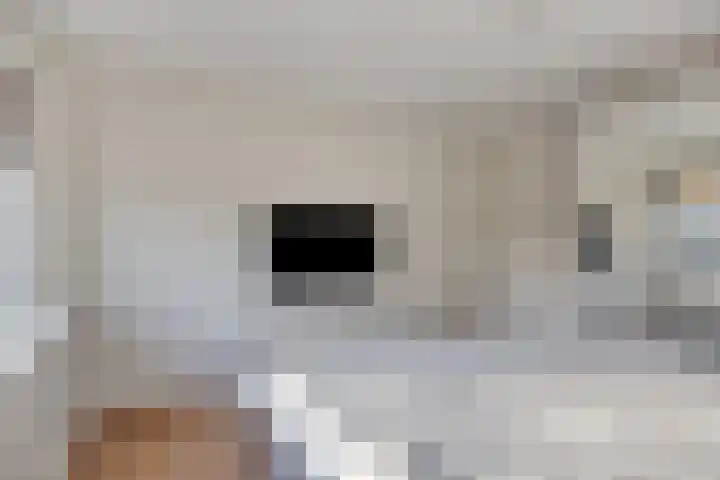 Middelveld 23 Zeeland thumbnail 20