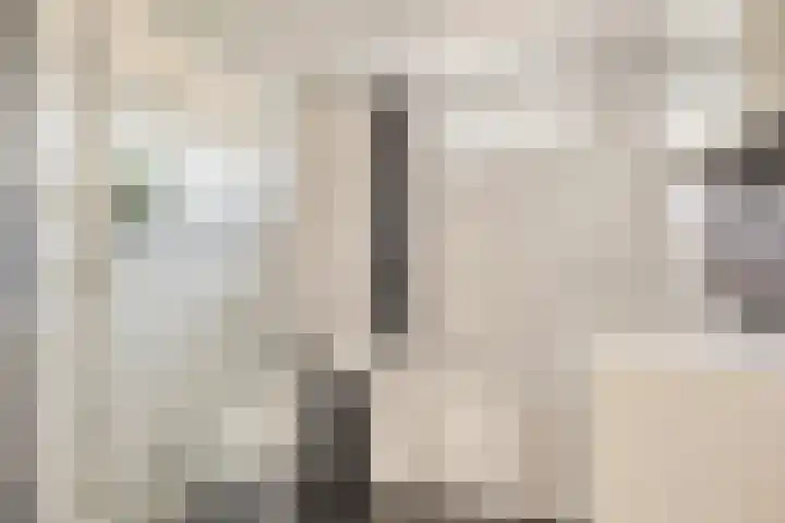 Middelveld 23 Zeeland thumbnail 21