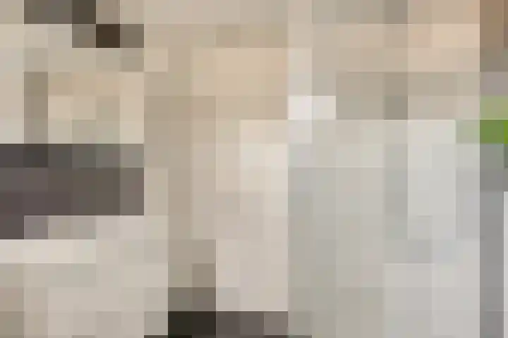 Middelveld 23 Zeeland thumbnail 22