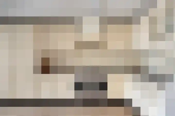 Middelveld 23 Zeeland foto 3