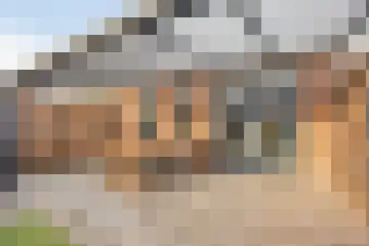 Middelveld 23 Zeeland thumbnail 31