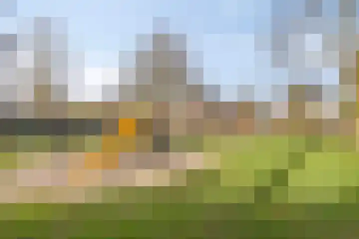 Middelveld 23 Zeeland thumbnail 34