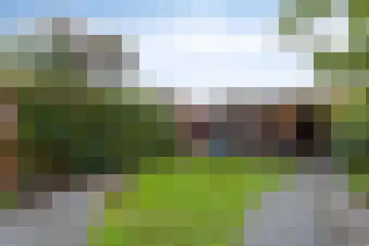 Middelveld 24 Zeeland thumbnail 29