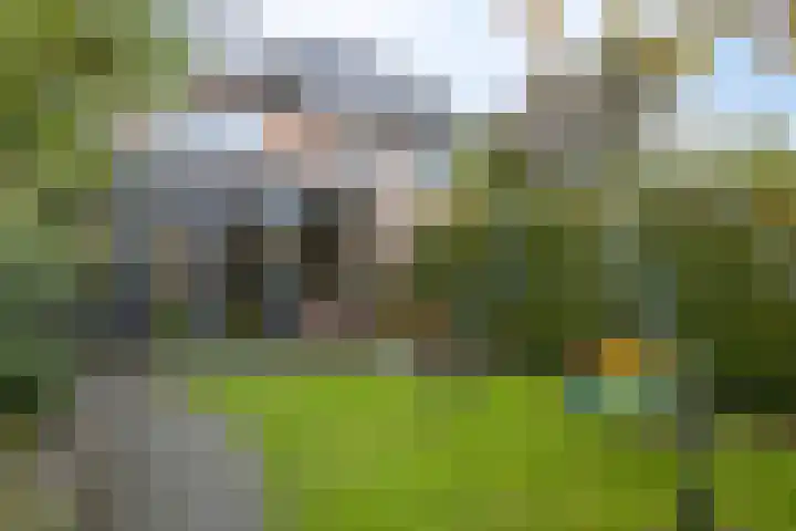 Middelveld 24 Zeeland thumbnail 31