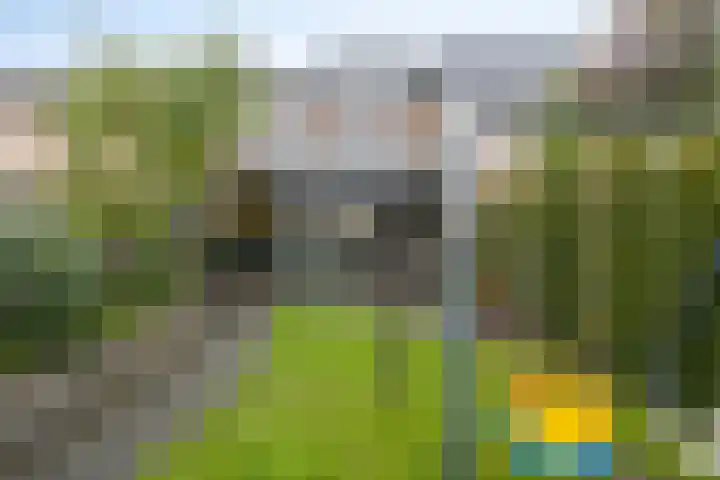 Middelveld 24 Zeeland thumbnail 32