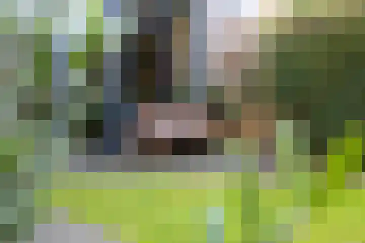 Middelveld 24 Zeeland thumbnail 33