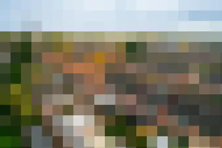 Middelveld 24 Zeeland thumbnail 34
