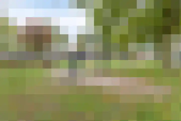 Middelveld 24 Zeeland thumbnail 35