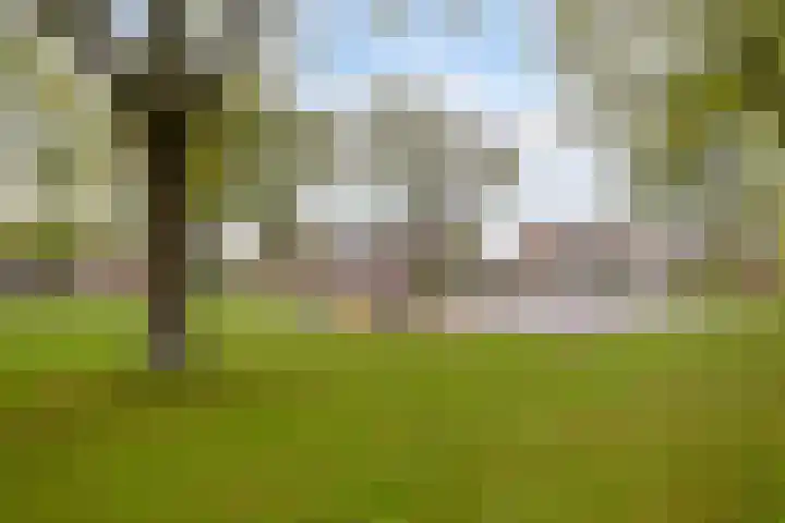 Middelveld 24 Zeeland thumbnail 36