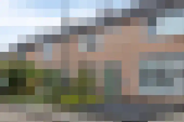 Middelveld 24 Zeeland thumbnail 5