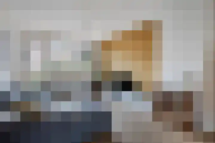 Middelveld 24 Zeeland thumbnail 8