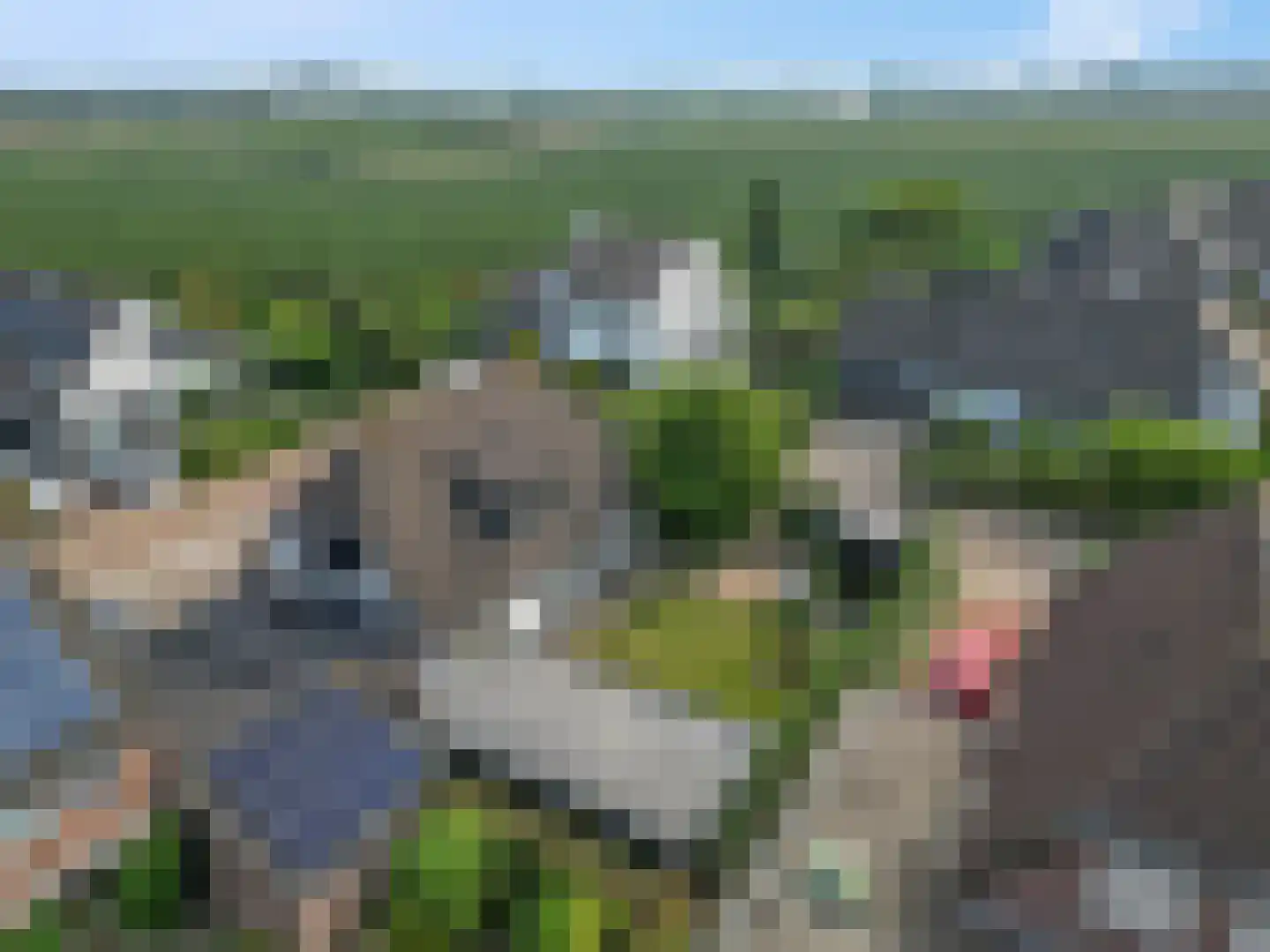 Middelveld 5 Ochten thumbnail 40