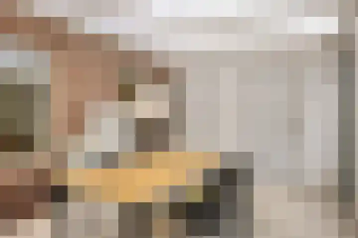 Middelveld 7 Zeeland thumbnail 16