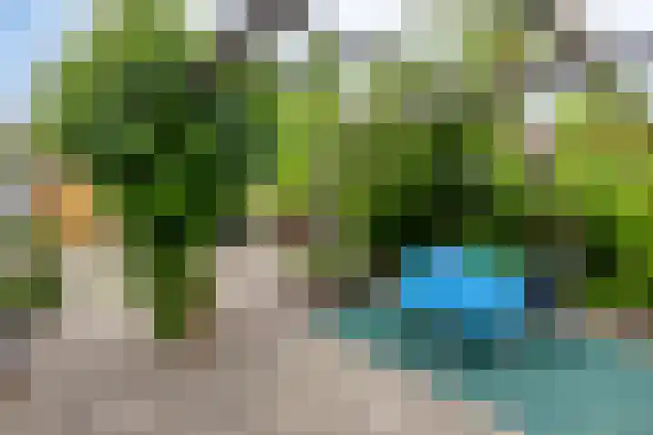 Middelveld 7 Zeeland thumbnail 27