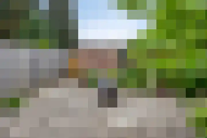 Middelveld 7 Zeeland thumbnail 29