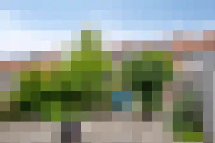 Middelveld 7 Zeeland thumbnail 30