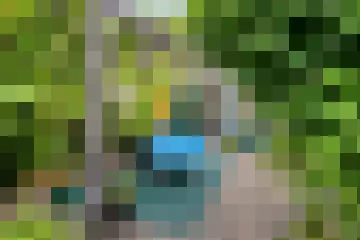Middelveld 7 Zeeland thumbnail 31